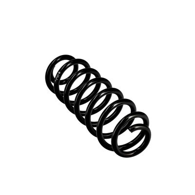 ARC SPIRAL EIBACH R10148 11