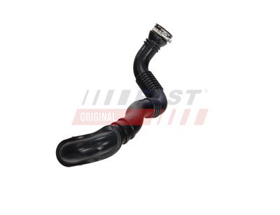 FURTUN EAR SUPRAALIMENTARE FAST FT01075 1