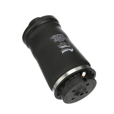 ARC PNEUMATIC DIRECTIE Arnott A2596 57