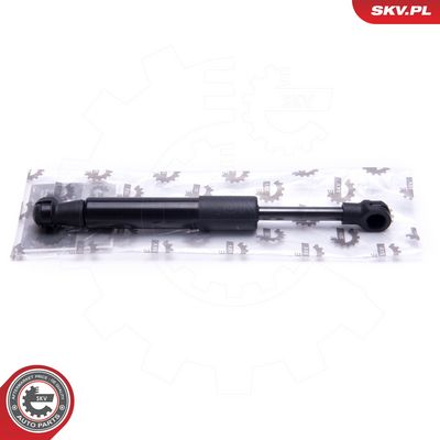 Dujinė spyruoklė, bagažinė