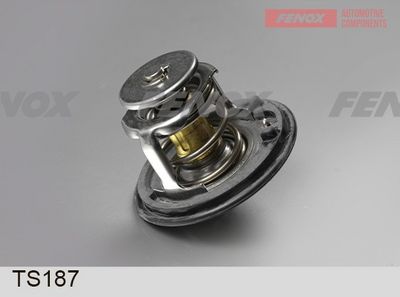 термостат, охладителна течност FENOX TS187