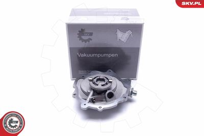 Vacuum Pump, braking system 18SKV029