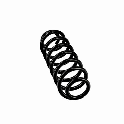 ARC SPIRAL EIBACH R10862 24