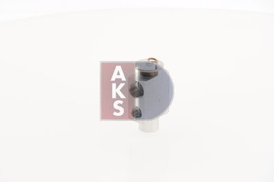 AKS-DASIS 840070N Розширювальний клапан кондиціонера для PORSCHE (Порш)