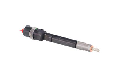 INJECTOR REMANTE 002003001099R 47