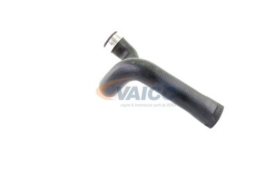 FURTUN EAR SUPRAALIMENTARE VAICO V401358 43