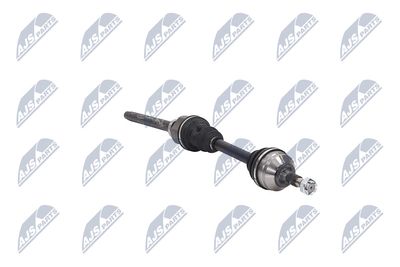 PLANETARA NTY NPWCT155 12