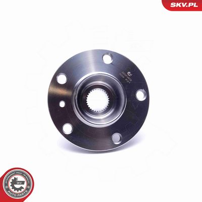 SET RULMENT ROATA ESEN SKV 29SKV432 3