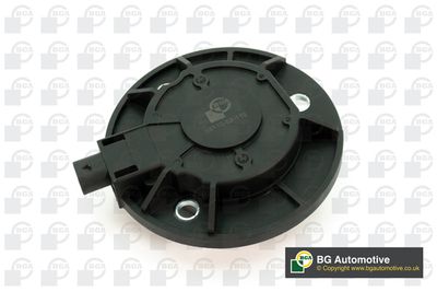Centrální magnet, seřízení vačkového hřídele BGA OCV0116