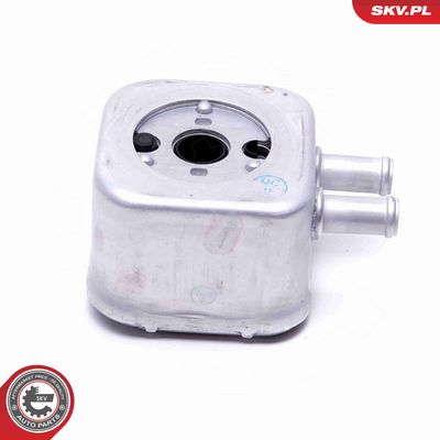 RADIATOR ULEI ULEI MOTOR ESEN SKV 31SKV205 1