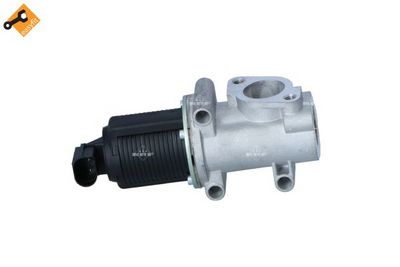 EGR Valve 48400