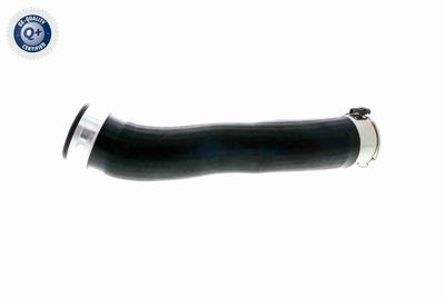 FURTUN EAR SUPRAALIMENTARE VAICO V201618 5