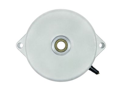 AS-PL Starterdeckel, Vergaser