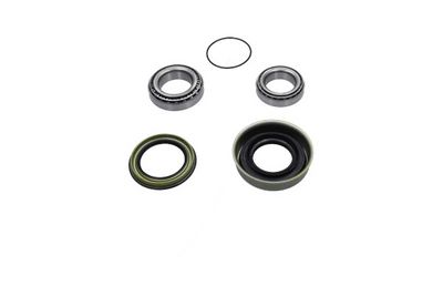 Kavo Parts Rato guolio komplektas