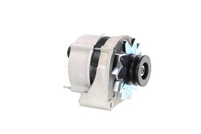 GENERATOR / ALTERNATOR REMANTE 011003000025R 51