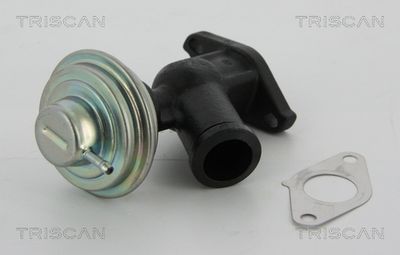 Zawór AGR TRISCAN 8813 10011