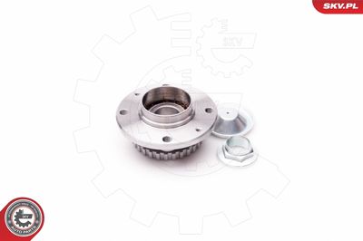 Wheel Bearing Kit 29SKV025