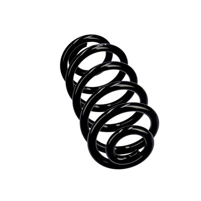 ARC SPIRAL EIBACH R10553 12