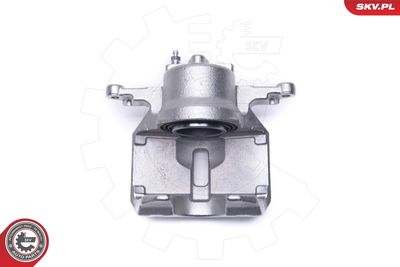 Brake Caliper 46SKV981