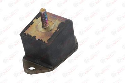 SUPORT MOTOR BIRTH 5224 11