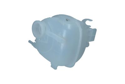 VAS DE EXPANSIUNE RACIRE