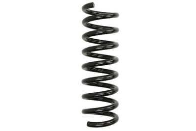 Spiraalveer Achter Links/Rechts past: MERCEDES C (C204), C T-MODEL (S204), C (W204) 1.6-6.2 01.07-