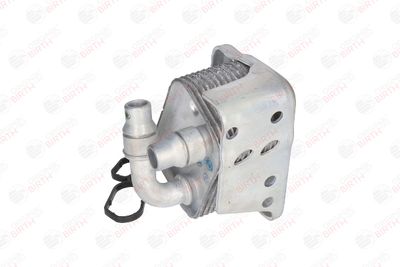 RADIATOR ULEI ULEI MOTOR BIRTH 80136 3