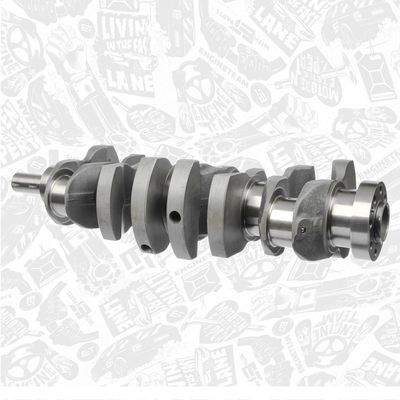 ARBORE COTIT ET ENGINETEAM HK0164 2