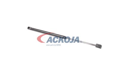 AMORTIZOR PORTBAGAJ ACKOJA A520112 17