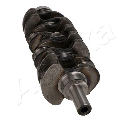 ARBORE COTIT ASHIKA 18KI000 3