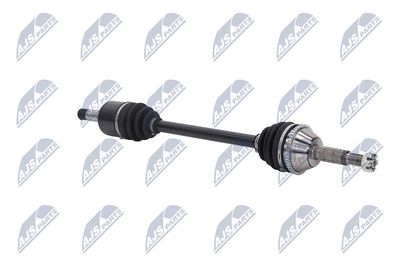 PLANETARA NTY NPWFR042 11