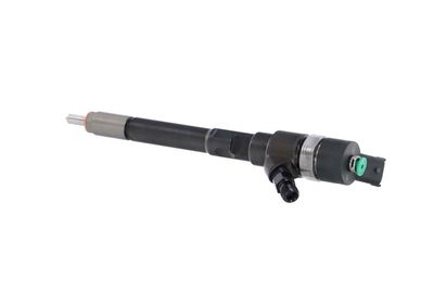 INJECTOR REMANTE 002003001322R 17
