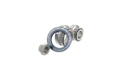 SET RULMENT ROATA SKF VKBA532 25