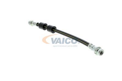 FURTUN FRANA VAICO V251328 17