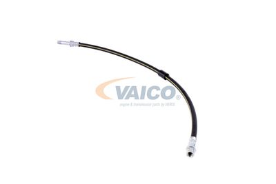 FURTUN FRANA VAICO V300547 19