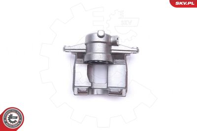 Brake Caliper 50SKV084