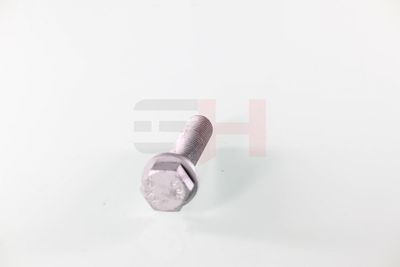 SURUB CAPAT DE AX GH GH391539 15