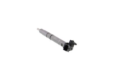 INJECTOR REMANTE 002003002294R 24