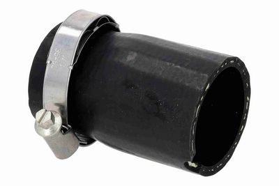 FURTUN EAR SUPRAALIMENTARE ACKOJA A520875 2