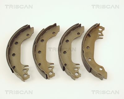 TRISCAN 8100 16291 Ремкомплект барабанных колодок для DAF CF FAR 370 TRISCAN 8100 16291 Ремкомплект барабанных колодок для DAF CF FAR 370