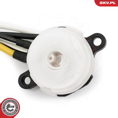 Spínač zapalování / startéru SKV 65SKV003