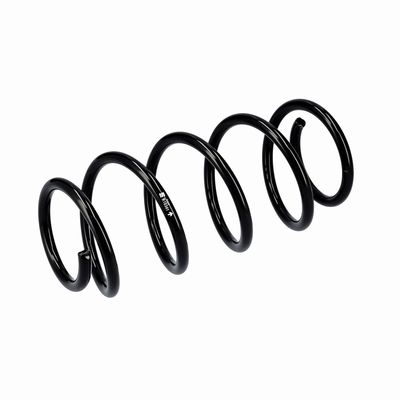 ARC SPIRAL EIBACH R10341 5