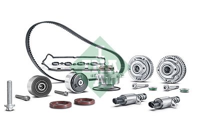 SET DISPOZITIV DE AJUSTARE A ARBORELUI CU CAME Schaeffler INA 427101340