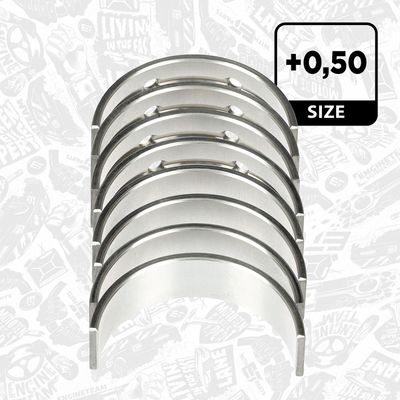 SET RULEMT ARBORE COTIT