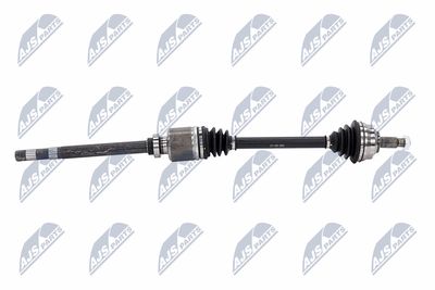 PLANETARA NTY NPWCT181 6