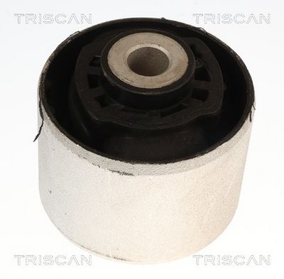 тампон, носач TRISCAN 8500 238038