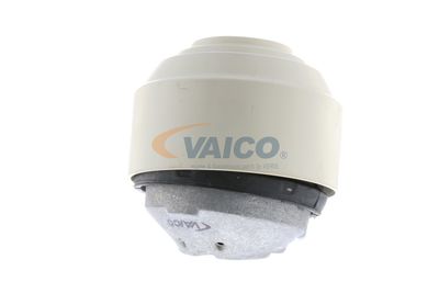 SUPORT MOTOR VAICO V300761 50