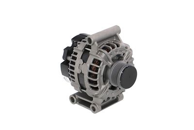 GENERATOR / ALTERNATOR REMANTE 011003000029R 53