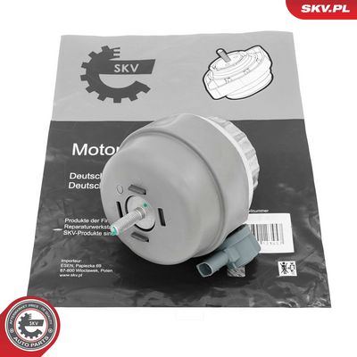 Lagerung, Motor