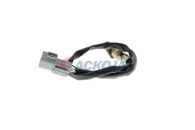 SONDA LAMBDA ACKOJA A53760007 29